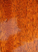 Varnished wood